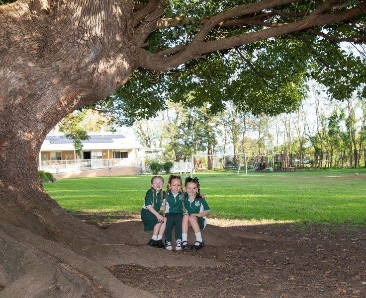 Three students sitting under a tree.